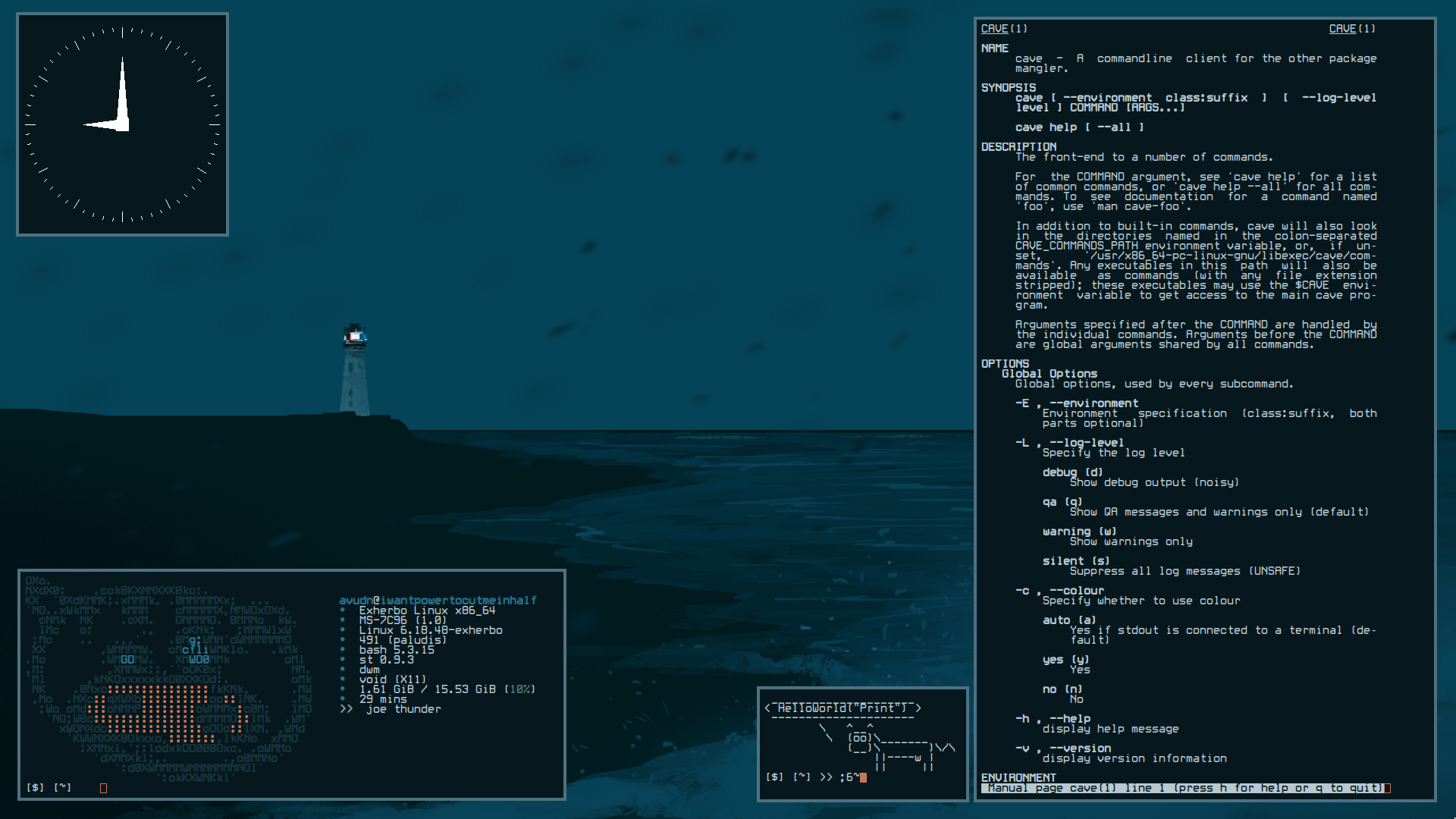 Void Window Manager